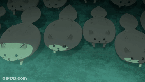 White Cats Lined Up GIF