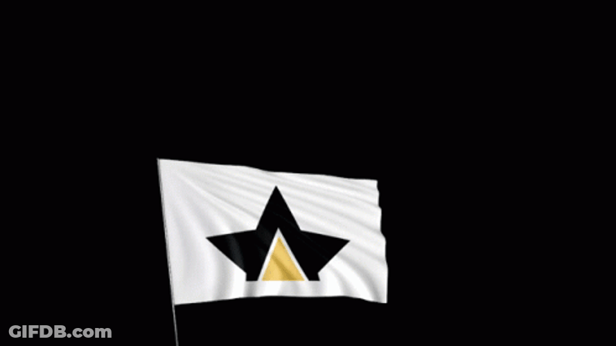 White Champion Flag GIF