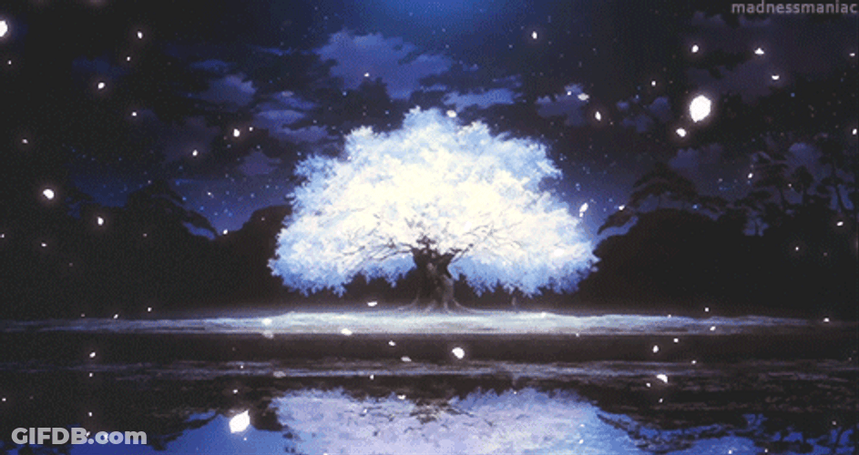 White Cherry Tree Anime Scenery GIF