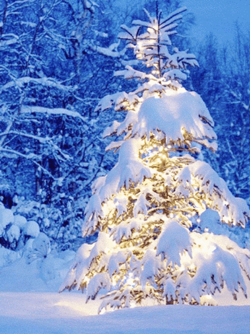 White Christmas Lights Snow GIF