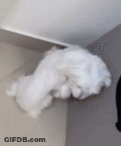 White Cotton Wool Hanging From Ceiling GIF