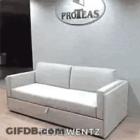 White Couch In Front Of Wall Saying Proteas GIF
