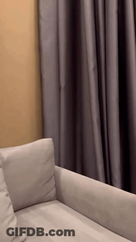 White Couch In Front Of Window GIF
