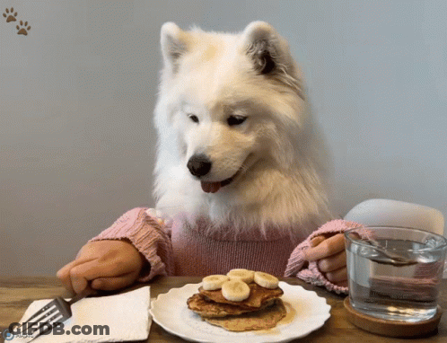White Dog Eating Pancakes GIF
