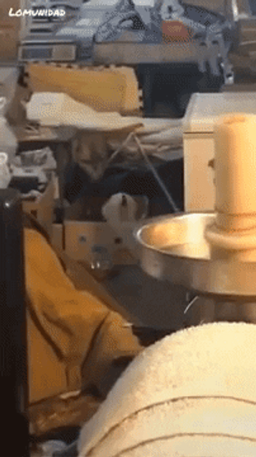 White Dog Headbanging GIF