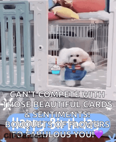 White Dog In Cage Holding Birthday Cake And Flowers GIF