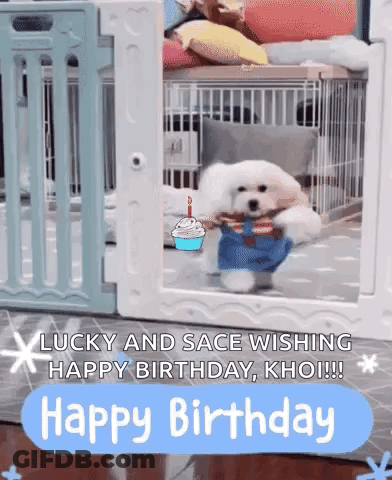 White Dog In Cage With Birthday Cake GIF