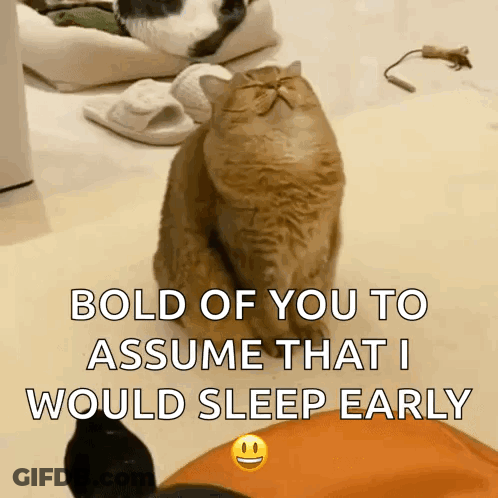 White Dog In Car Says Sis I Love You Good Morning GIF