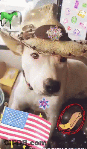 White Dog In Cowboy Hat With Badge GIF