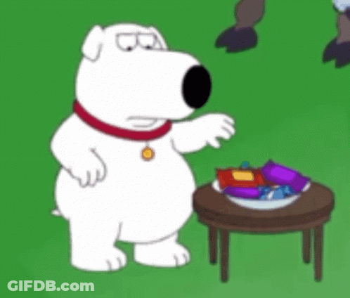 White Dog In Front Of Cabinet GIF
