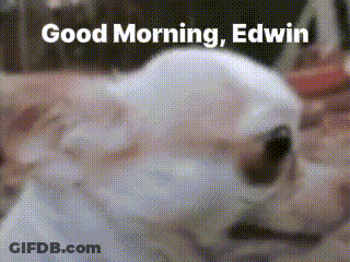 White Dog Laying Down Saying Good Morning Edwin GIF