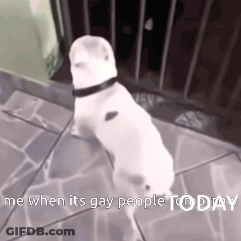 White Dog Me When Its Gay People Today GIF