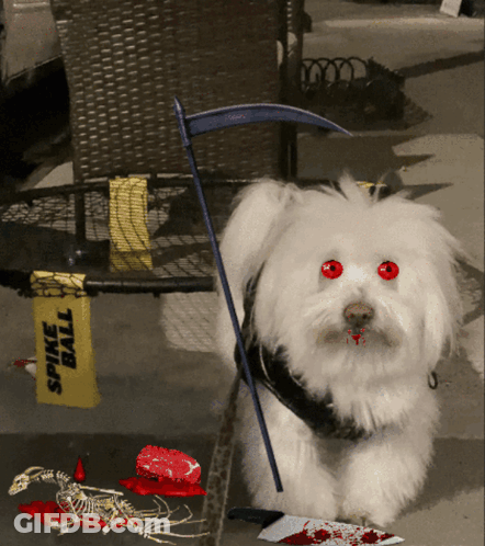 White Dog Red Eyes Scythe Spine Ball Sign GIF