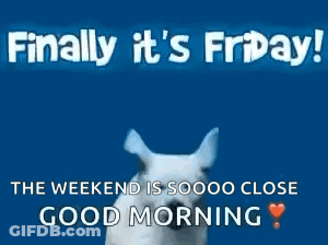 White Dog Running Blue Background Finally It's Friday! The Weekend Is Soooo Close Good Mor GIF