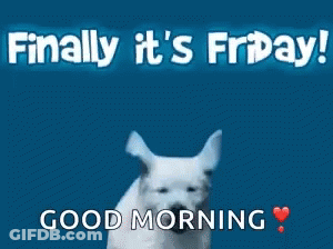 White Dog Running Finally It's Friday Good Morning GIF