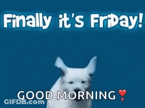 White Dog Running Finally It's Friday Good Morning GIF