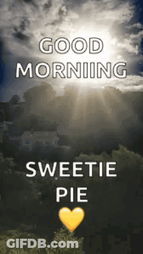 White Dog Running Finally It's Friday Good Morning GIF