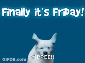 White Dog Running Finally It's Friday Yippie! GIF