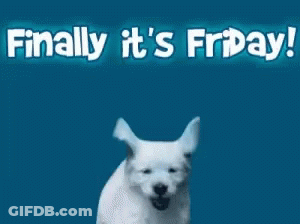 White Dog Running With Finally It's Friday GIF
