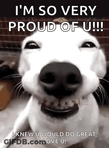 White Dog Says I'm Very Proud Of U GIF