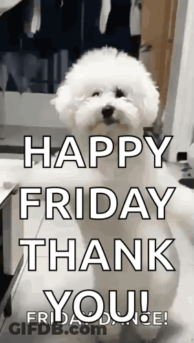 White Dog Sitting By Happy Friday Thank You Sign GIF