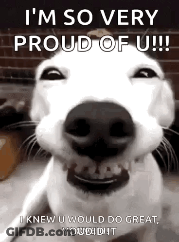 White Dog Smiling I'm So Very Proud Of U GIF