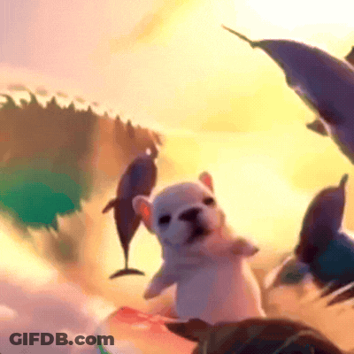 White Dog Surrounded By Dolphins And Turtle GIF