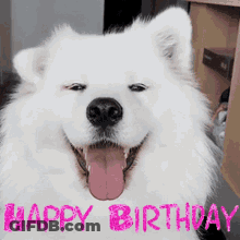 White Dog Tongue Out Happy Birthday GIF