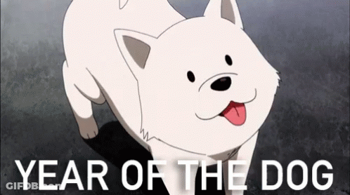 White Dog Tongue Out Year Of The Dog GIF