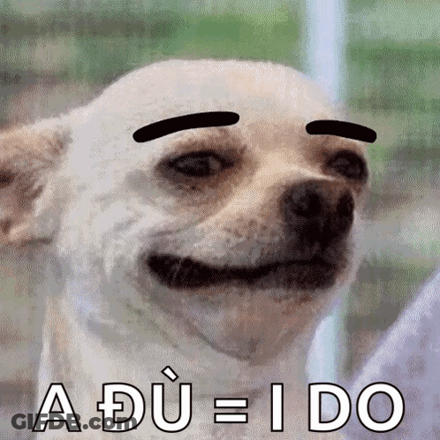 White Dog With Black Eyebrows Smiling Says A Du = Ido GIF