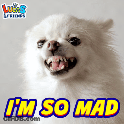 White Dog With Lucas And Friends Logo GIF