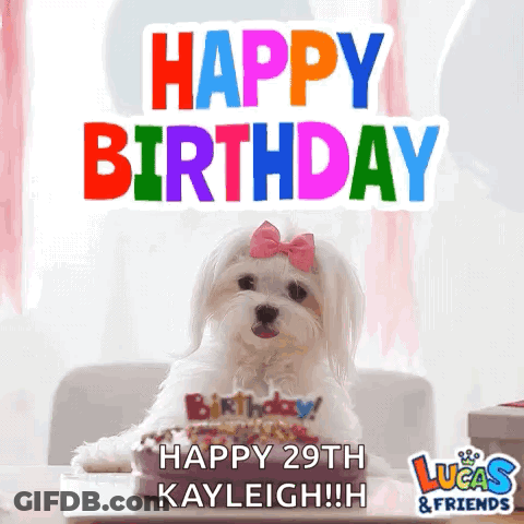 White Dog With Pink Bow And Birthday Cake GIF