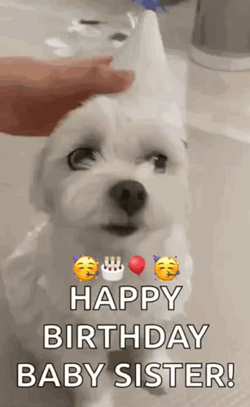 White Doggo Happy Birthday Sis GIF