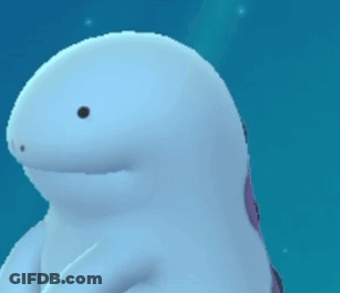 White Dolphin With Black Spot On Face GIF