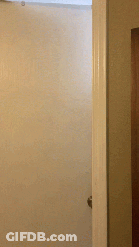 White Door Open To Wooden Door Room GIF