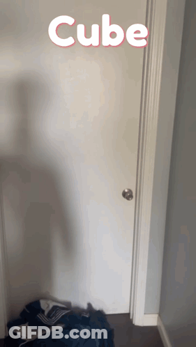 White Door Saying Cube GIF
