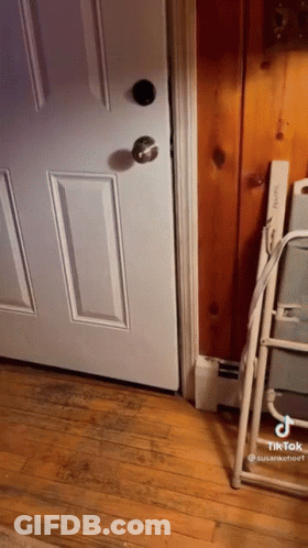 White Door With Black Knob Open To Wooden Wall GIF