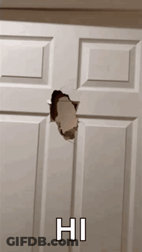 White Door With Hole Saying Hi GIF