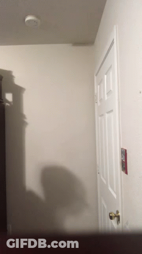 White Door With Smoke Detector GIF