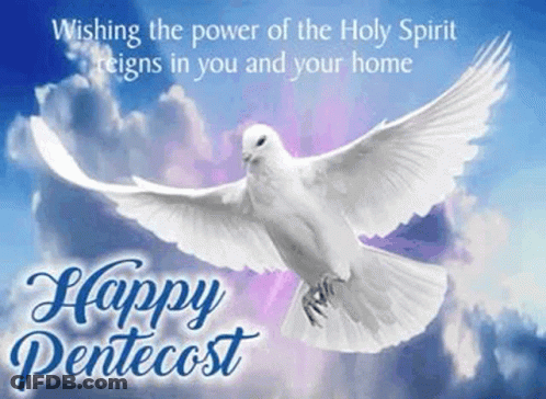 White Dove Flying On Pentecost Card GIF