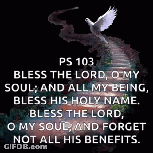 White Dove Flying Over Staircase With Bible Verse GIF