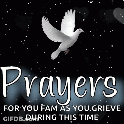 White Dove Prayers For You Fam As You Grieve During This Time GIF