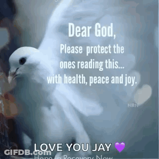 White Dove Sitting On Tree Branch With Quote GIF