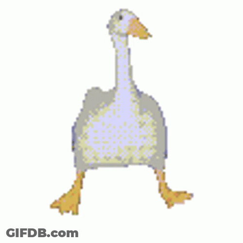 White Duck Cheerful Dance Walk GIF