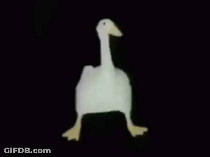 White Duck Doing Break Dance GIF