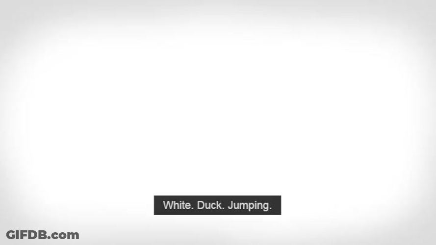 White Duck Jumping GIF