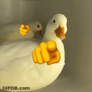 White Duck Pointing Yellow Thumb At Camera GIF