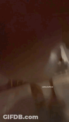 White Duck Standing On Skateboard In Living Room GIF