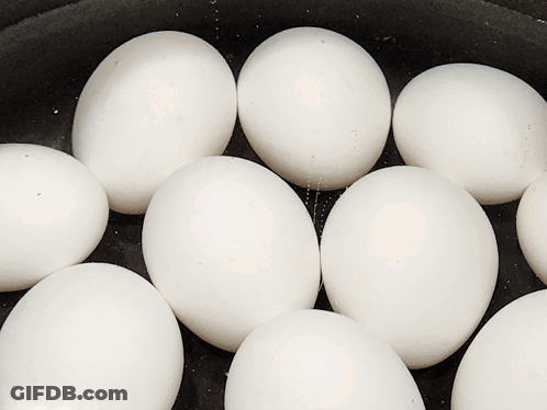 White Eggs In Black Bowl GIF