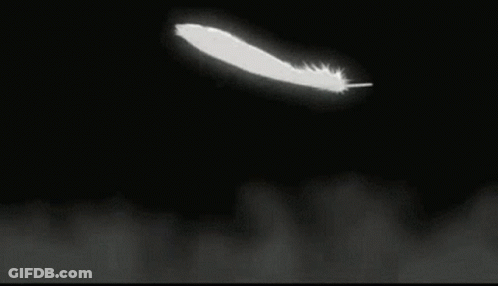 White Feather Flying In Dark Room GIF